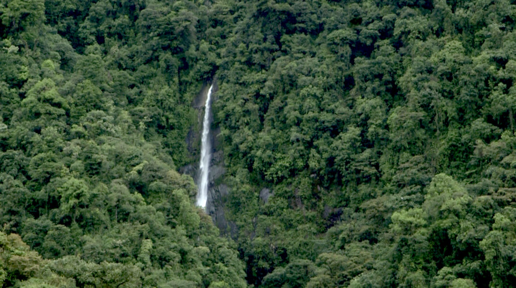 Parque Nacional Tapantí – Macizo de la Muerte en Costa Rica. (Photo by Camilo de Castro Belli)