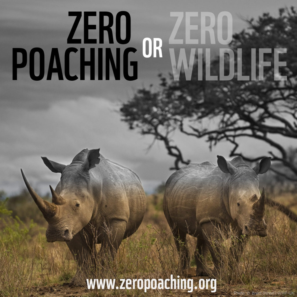 zero poaching or zero wildlife